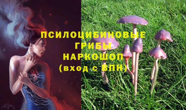 хмурый Ростов